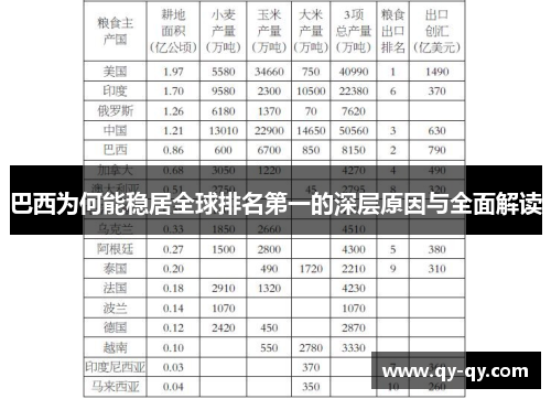 巴西为何能稳居全球排名第一的深层原因与全面解读